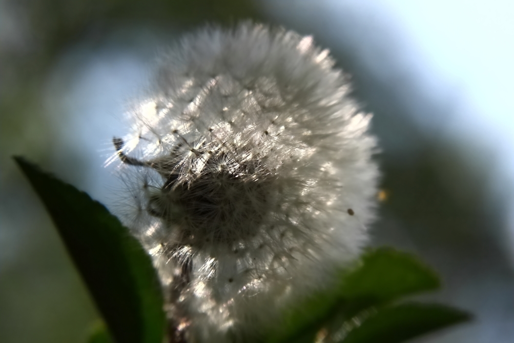 2012 05 10 2321e